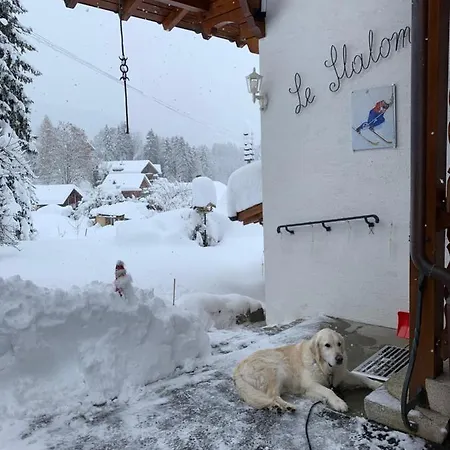 Appartamento Le Slalom *