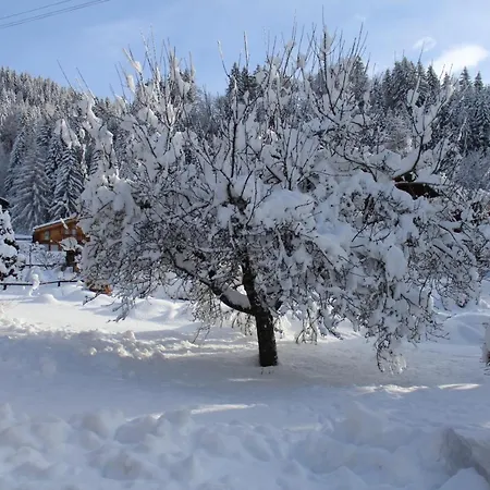 公寓 Le Slalom Arveyes