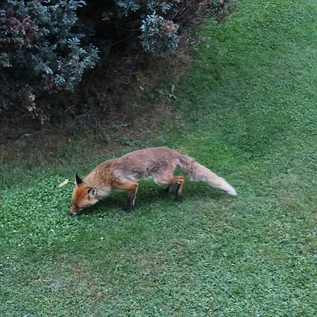 Apartamento Le Slalom Arveyes