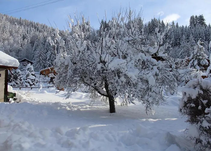 Apartamento Le Slalom Arveyes