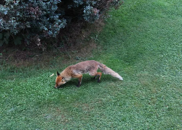 Apartamento Le Slalom Arveyes